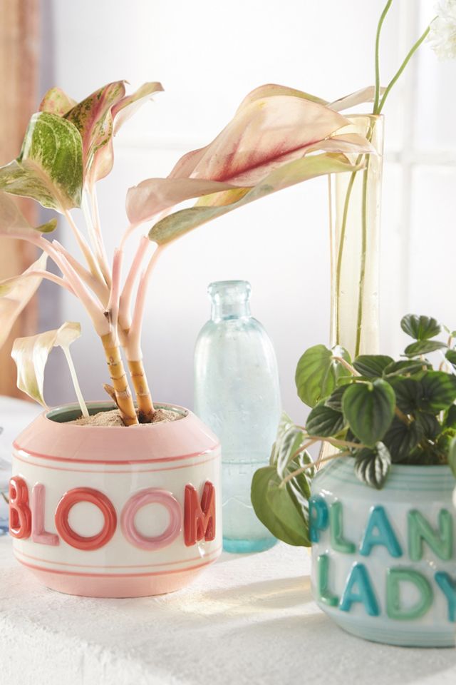 Garden Greeting Pot #4