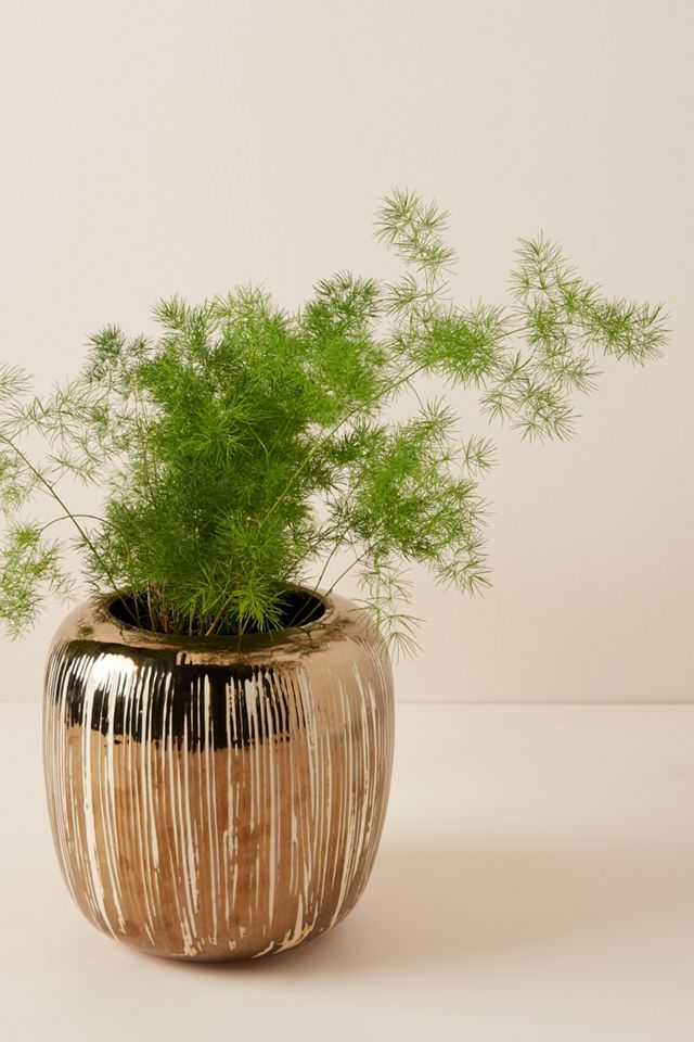 Copper-Striped Pot #2