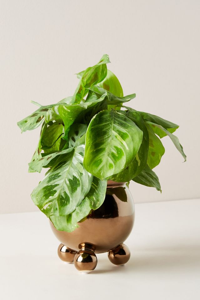 Three-Footed Pot #1