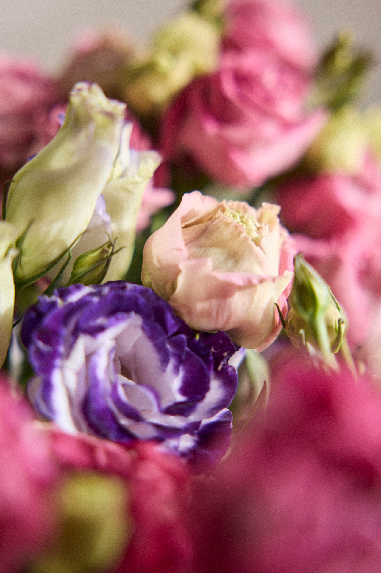 Fresh Lisianthus Bunch