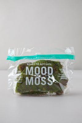 Preserved Mood Moss | AnthroLiving