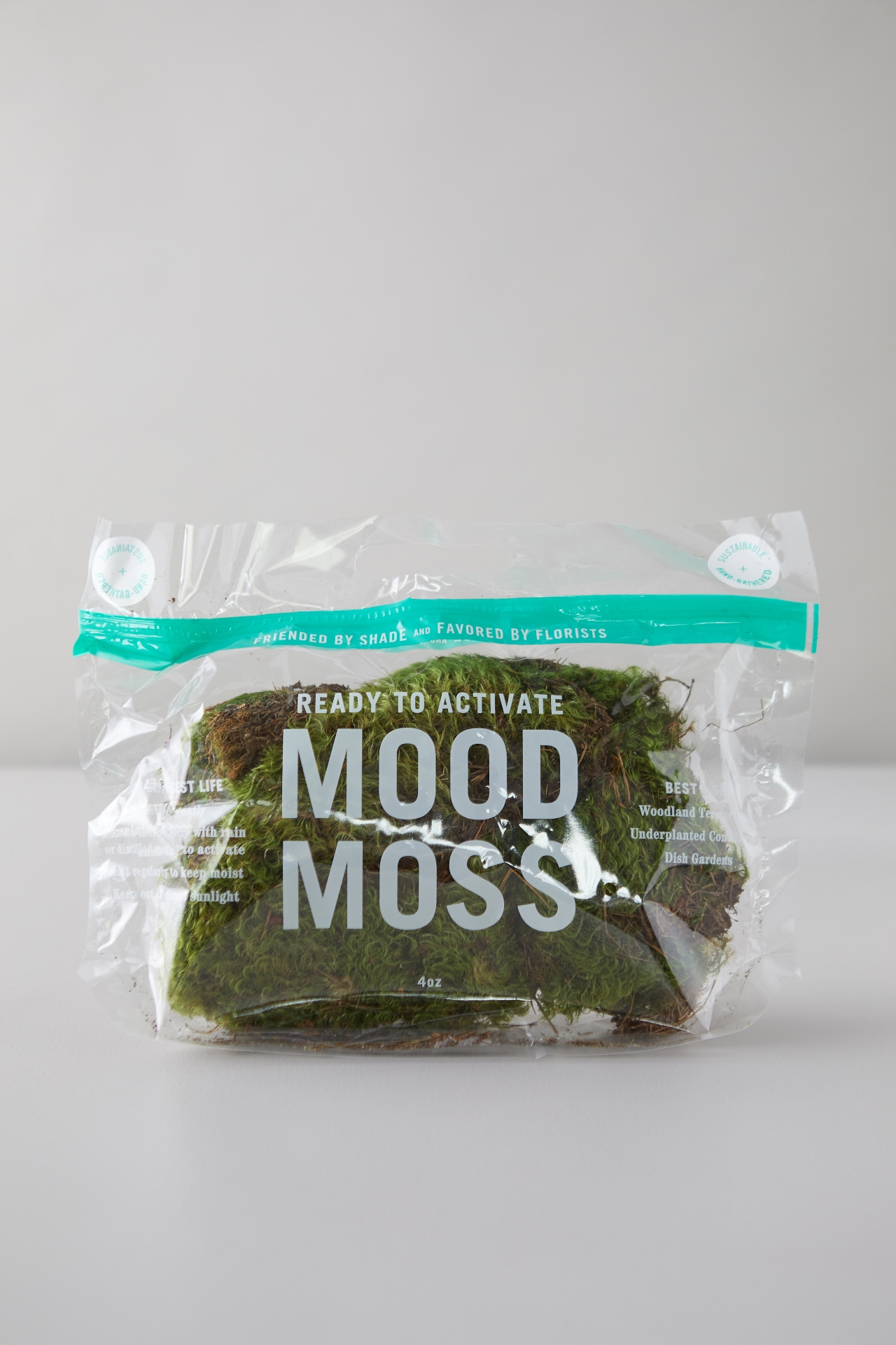 Preserved Mood Moss