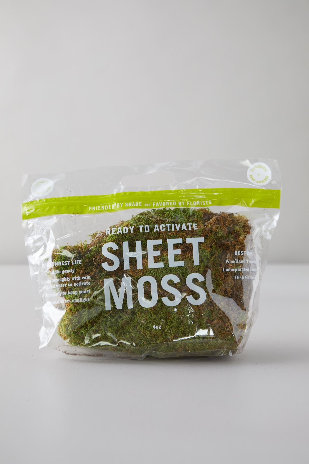 Preserved Sheet Moss