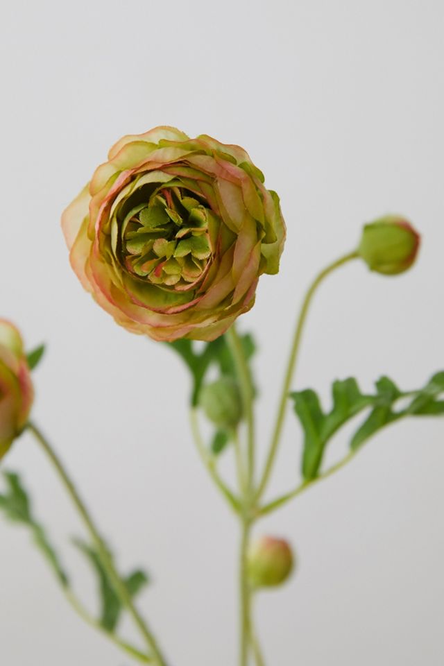 Faux Ranunculus Spray #2