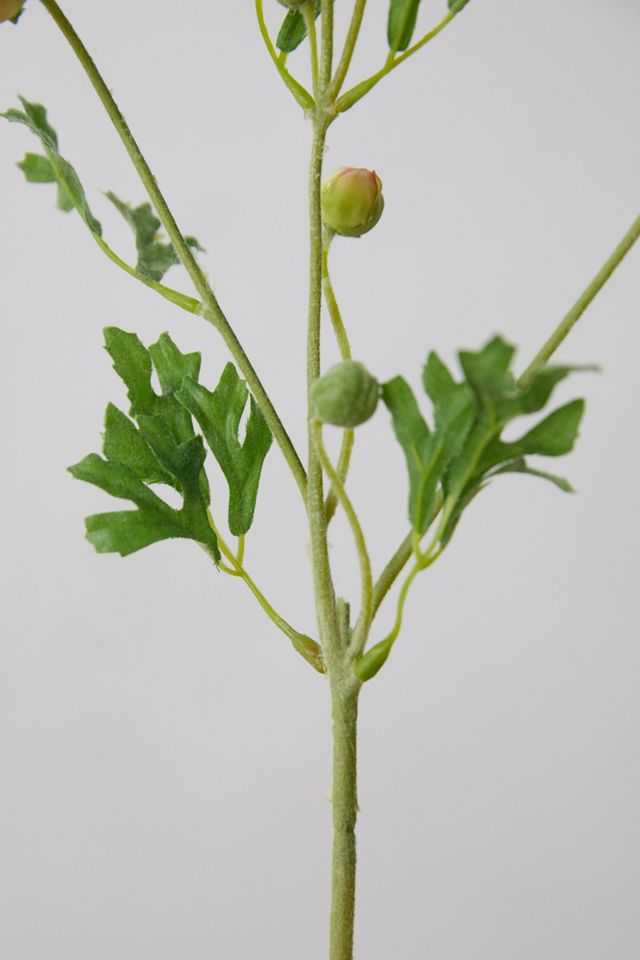 Faux Ranunculus Spray #3