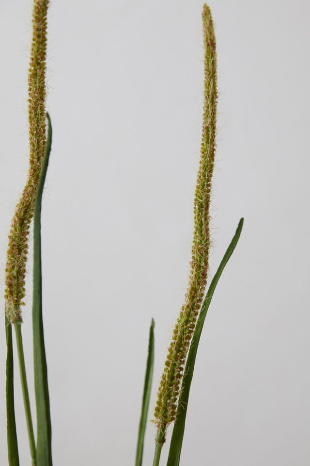 Faux Blossom Grass #1