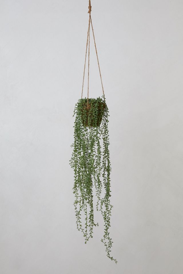 Faux Trailing Potted Plant | Anthropologie