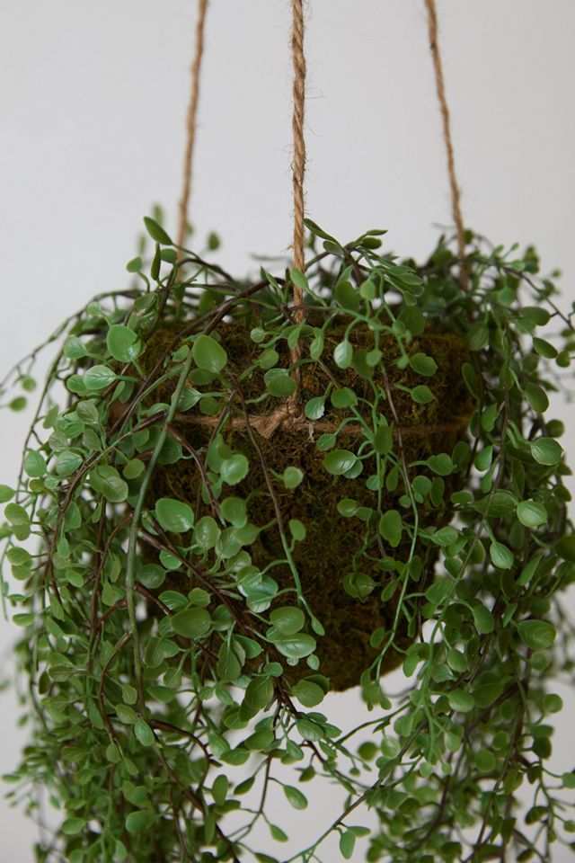 Faux Potted Hanging Plant #1