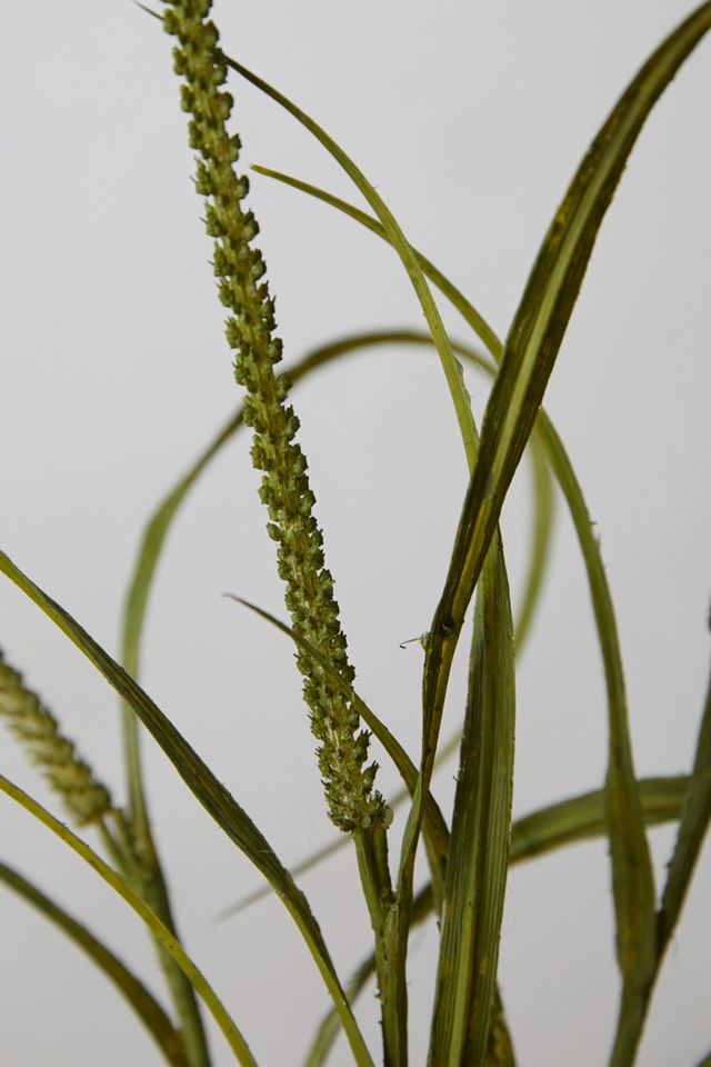Faux Grass Spray #1