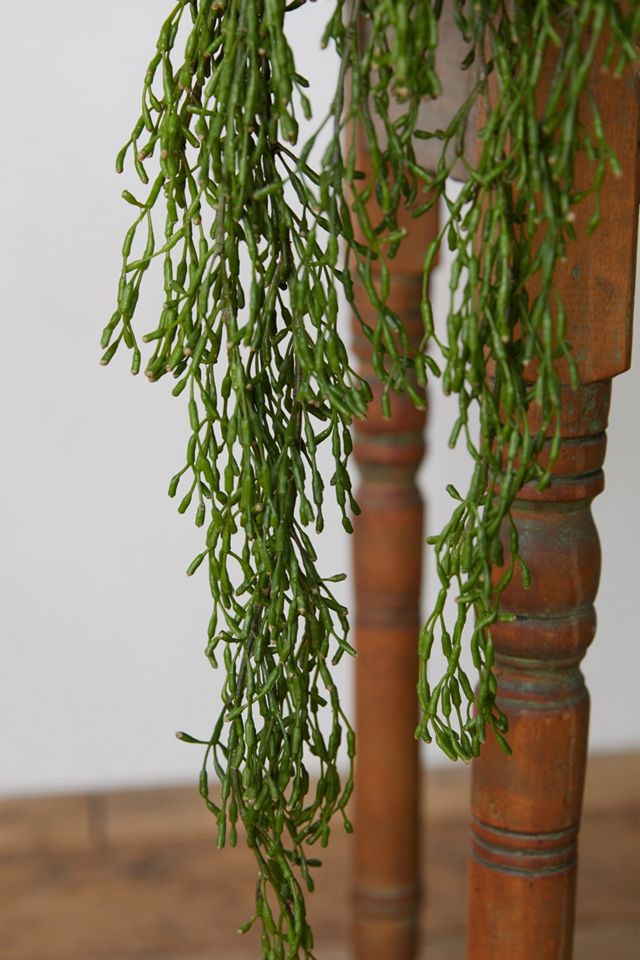 Faux Potted Trailing Plant #2