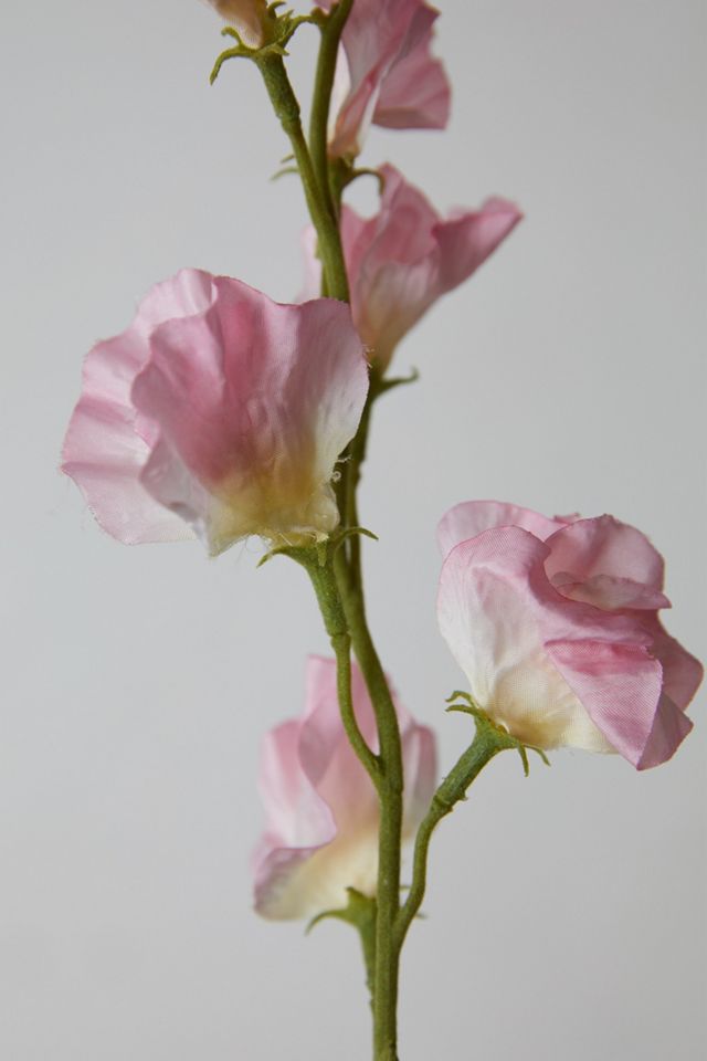 Faux Sweet Pea Stem #1