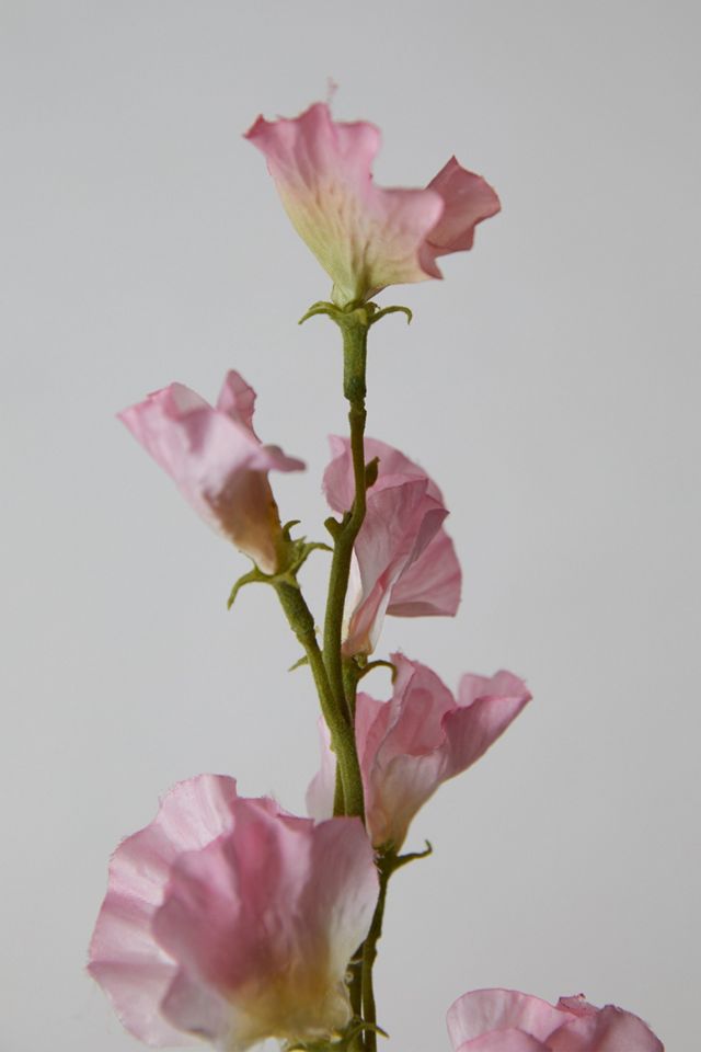 Faux Sweet Pea Stem #2