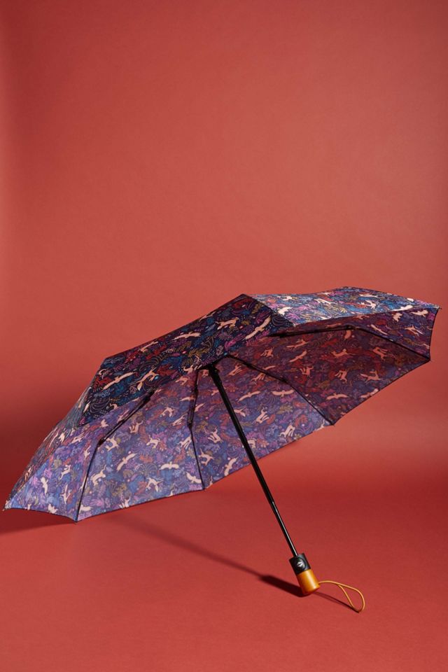 Colloquial Umbrella #1