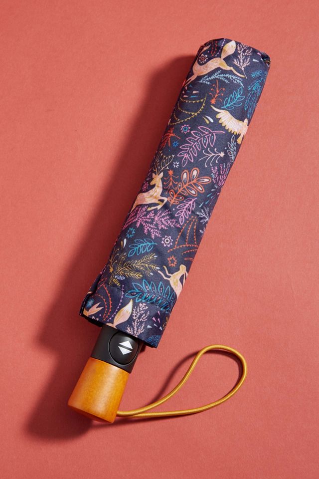 Colloquial Umbrella #2