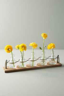 Apothecary Bud Vases, Set of 5