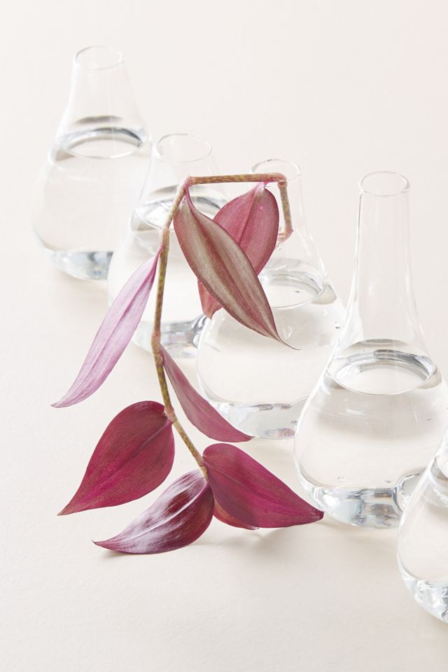 Quintet Bud Vase #2