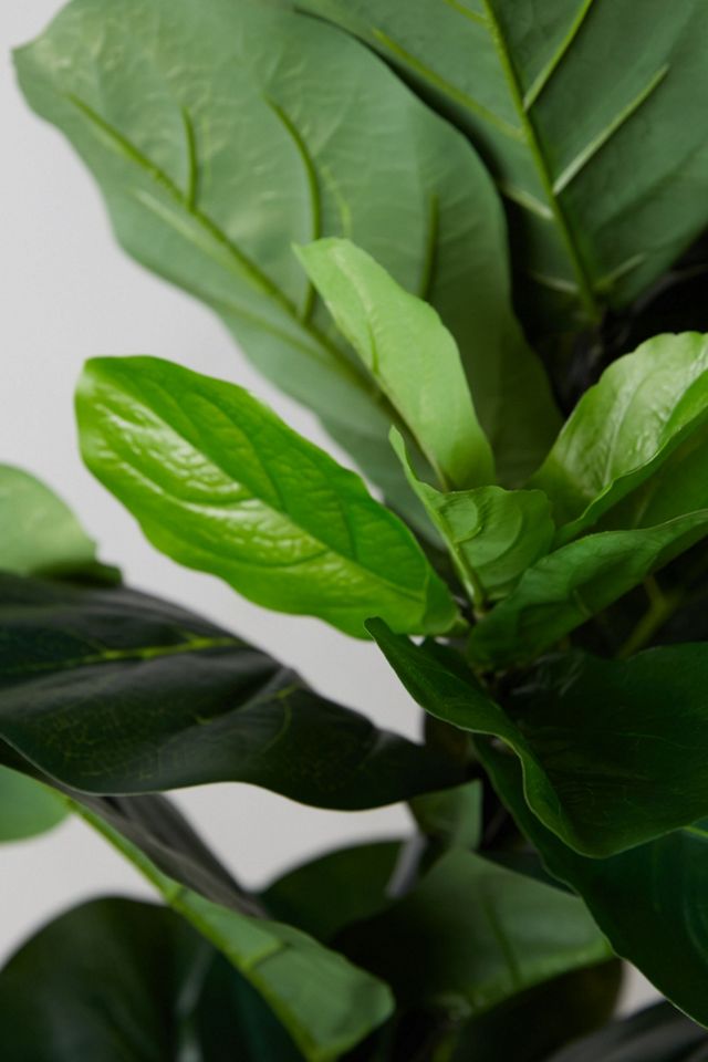 Faux Fiddle Leaf Fig Tree, 5' #2