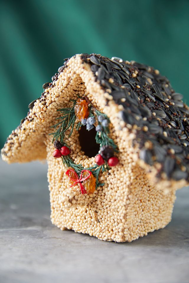 Bird Seed Cottage #2