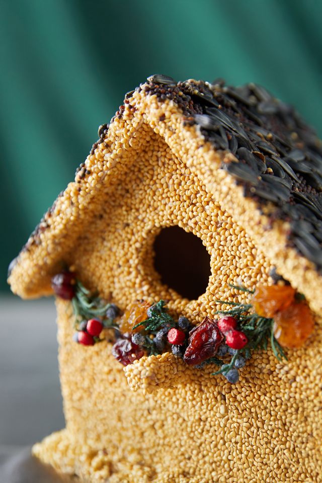 Bird Seed Cottage #3