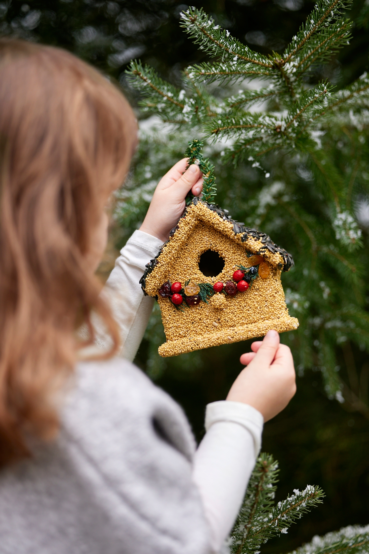 Bird Seed Cottage