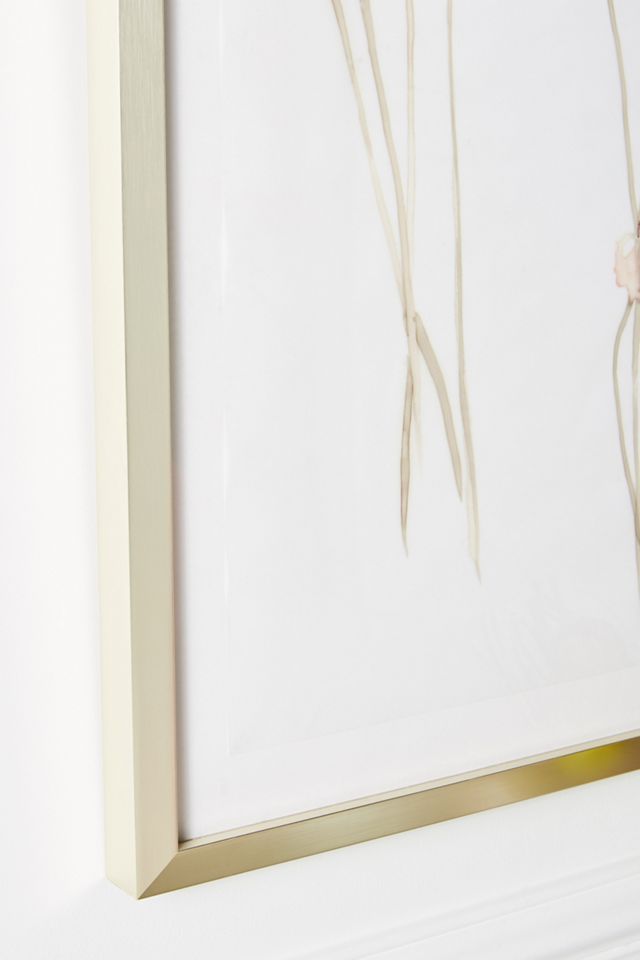 Translucent Floral Wall Art #1