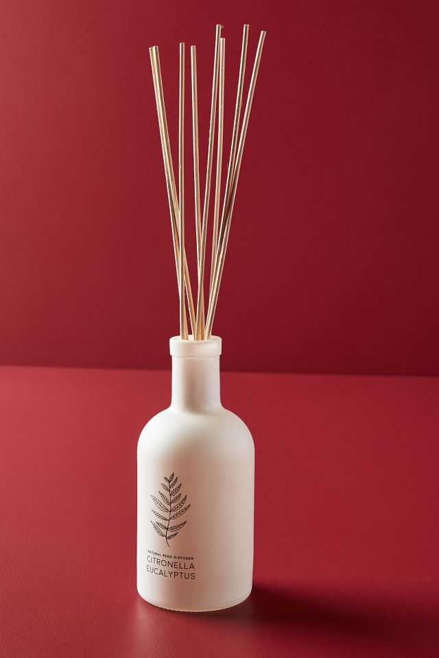 Cerabella Citronella Reed Diffuser | AnthroLiving