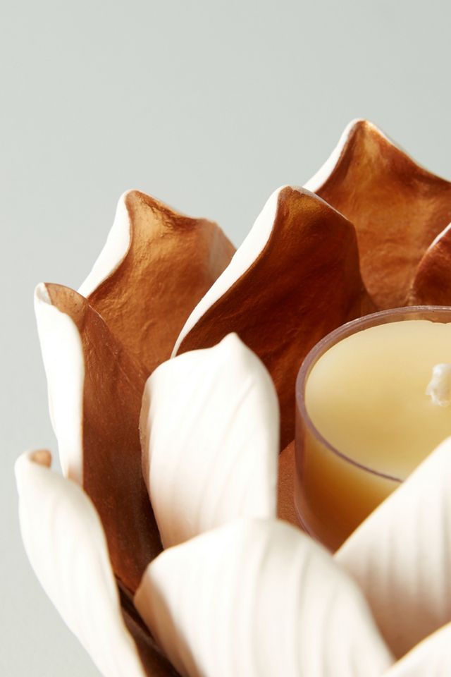 Lotus Votive #1