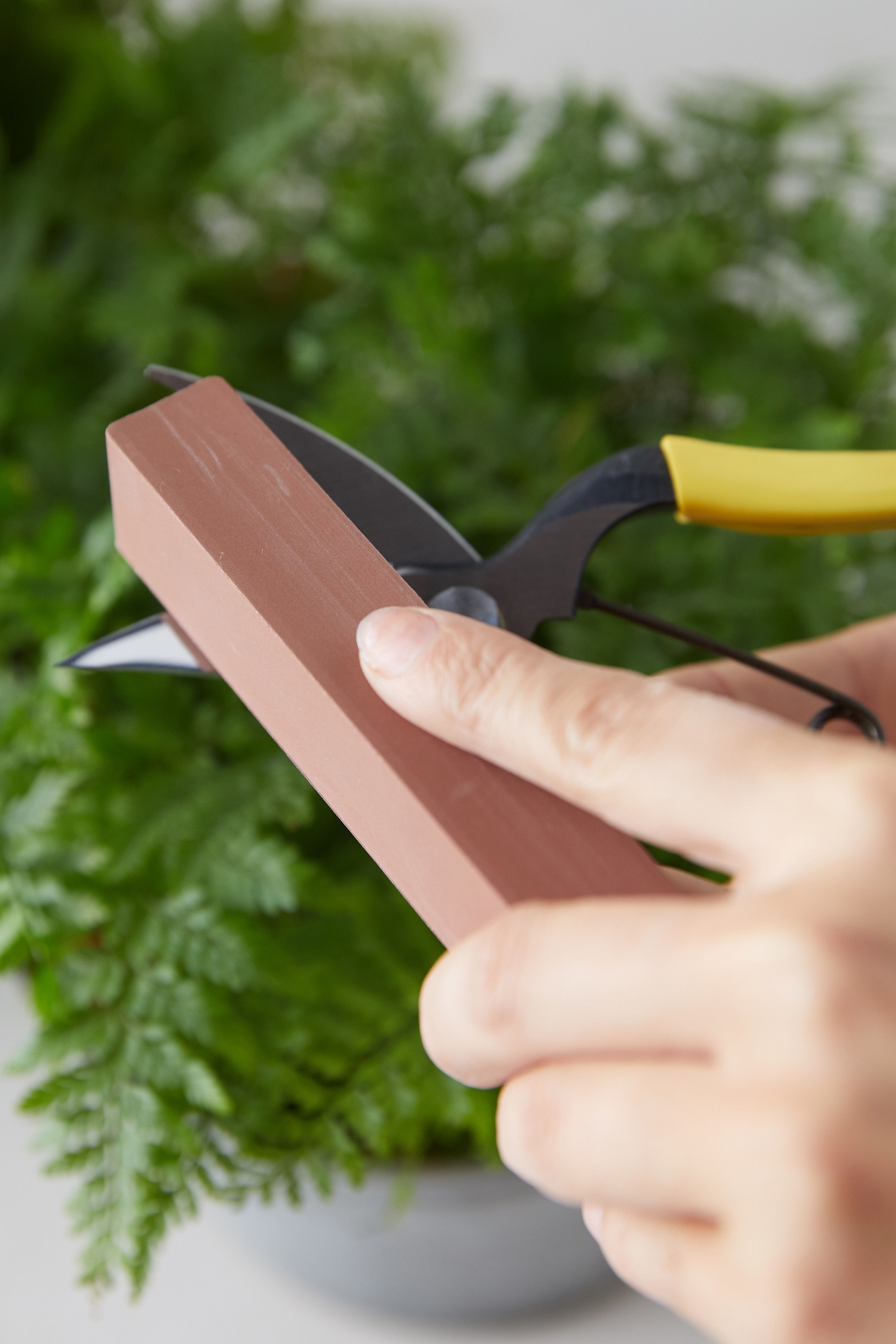 Niwaki Tool Maintenance Kit