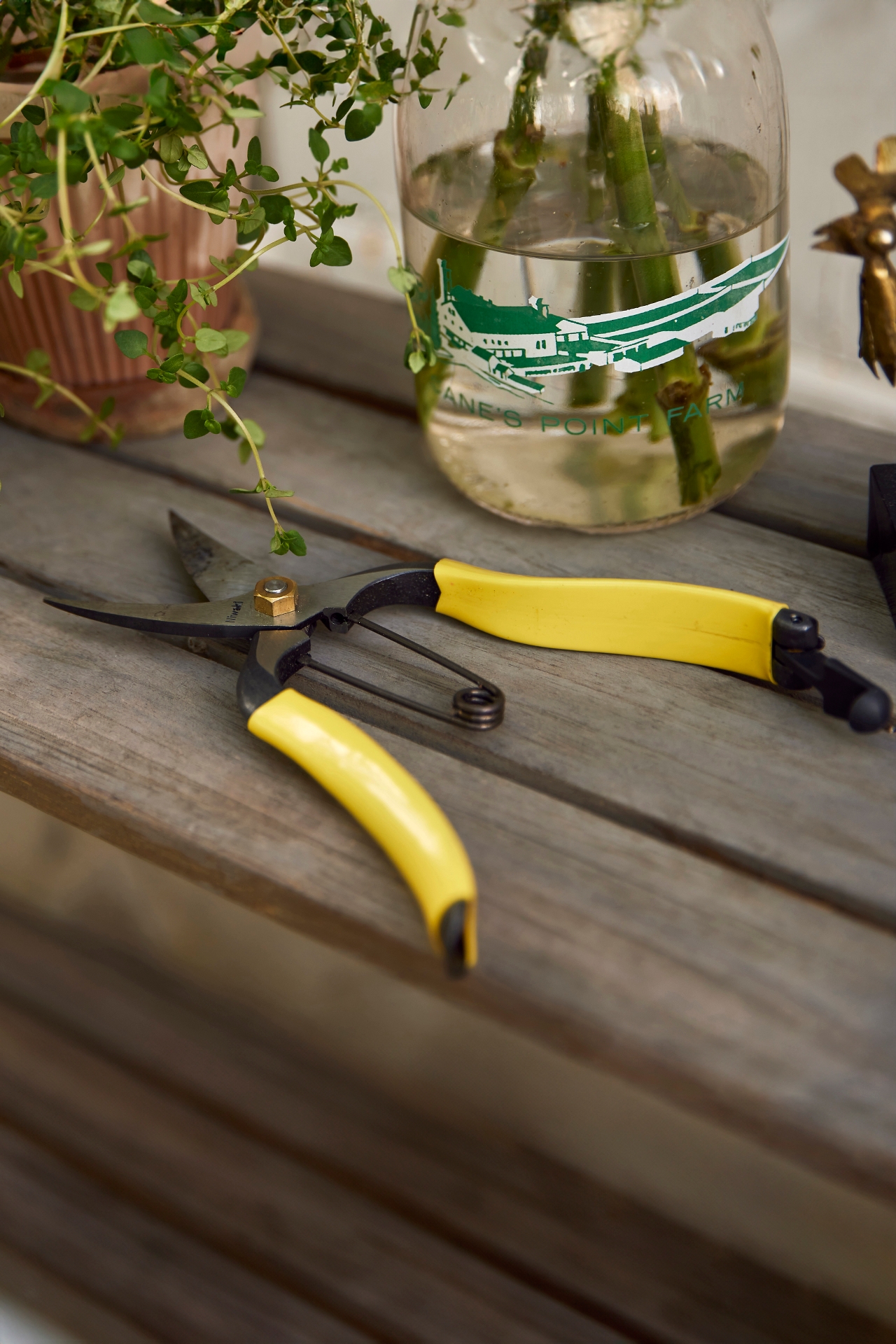 Niwaki Lightweight Hybrid Secateurs