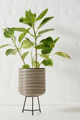Annisa Planter