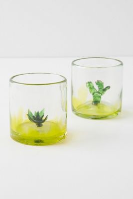 Cantina DOF Glasses, Set of 4