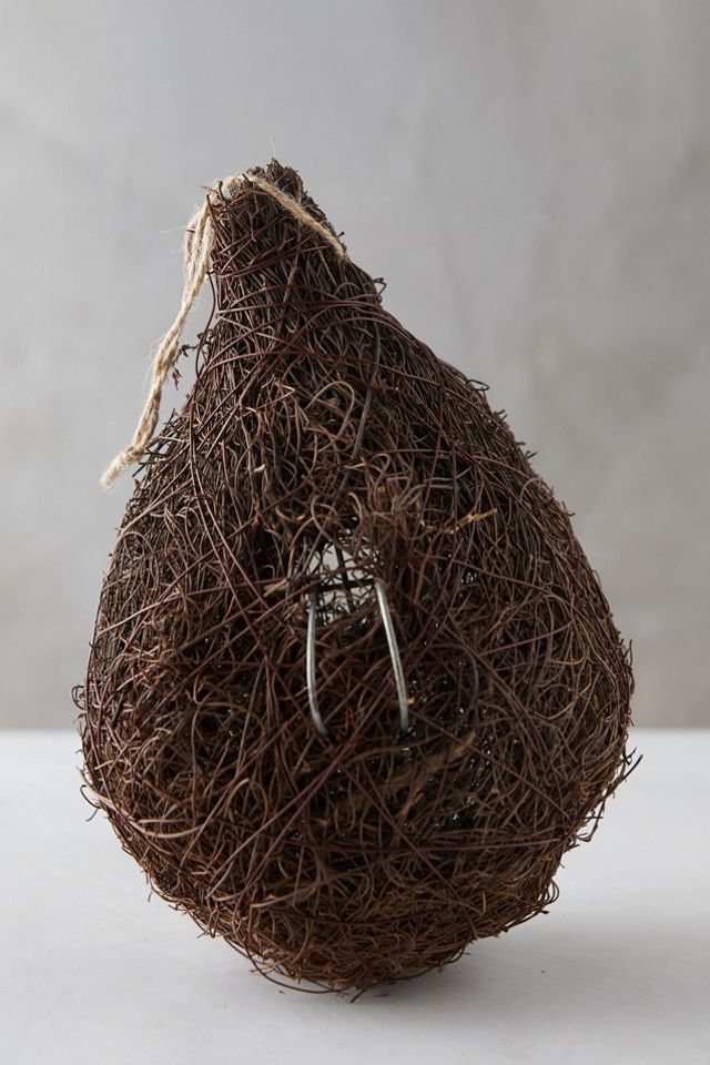 Brushwood Bird Nester #2