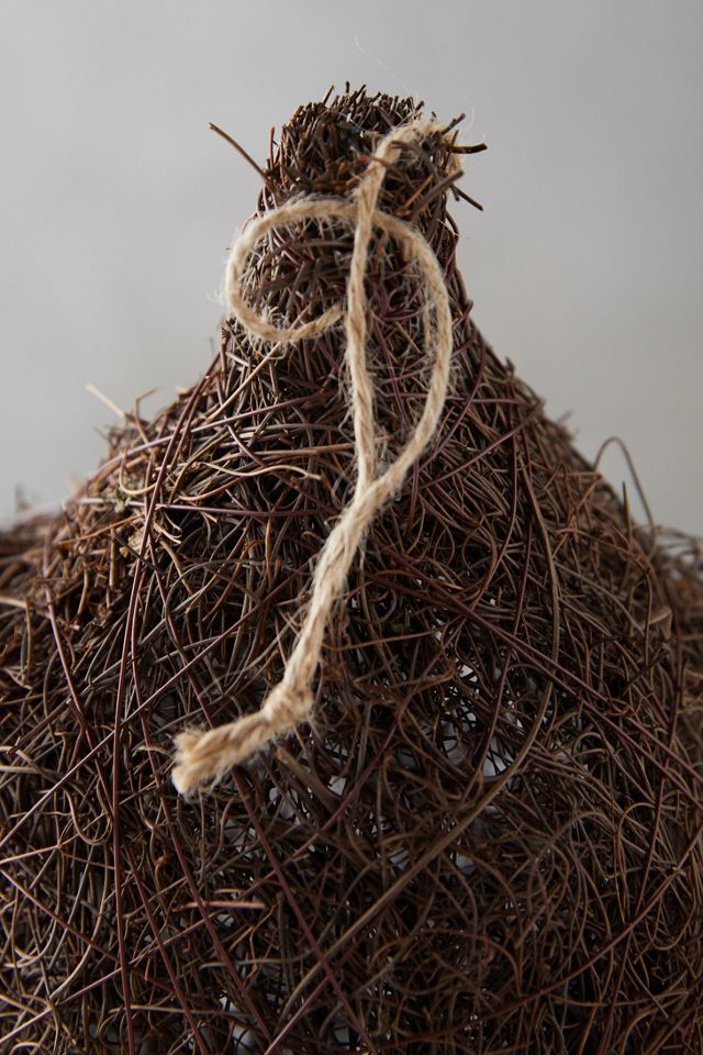 Brushwood Bird Nester #4