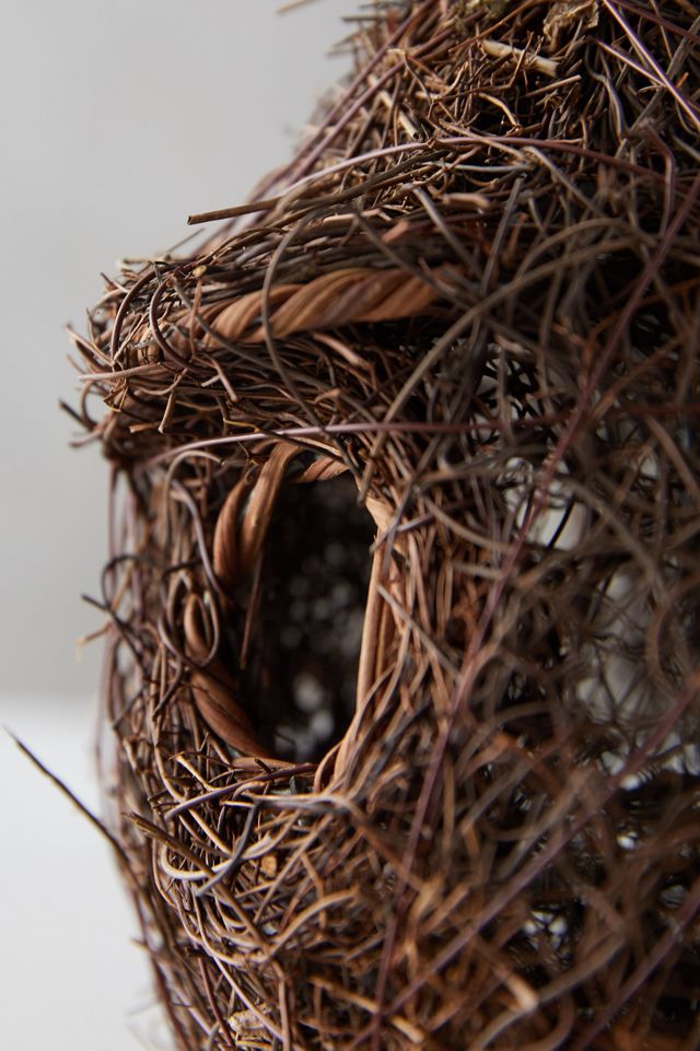 Brushwood Bird Nester #5