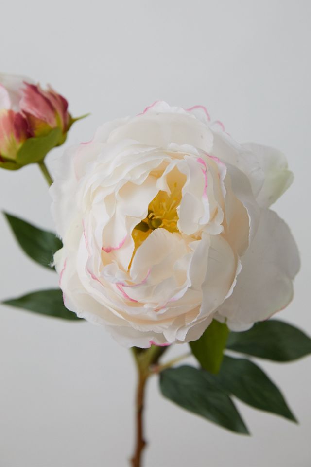 Faux Peony Stem, Pink + White #1