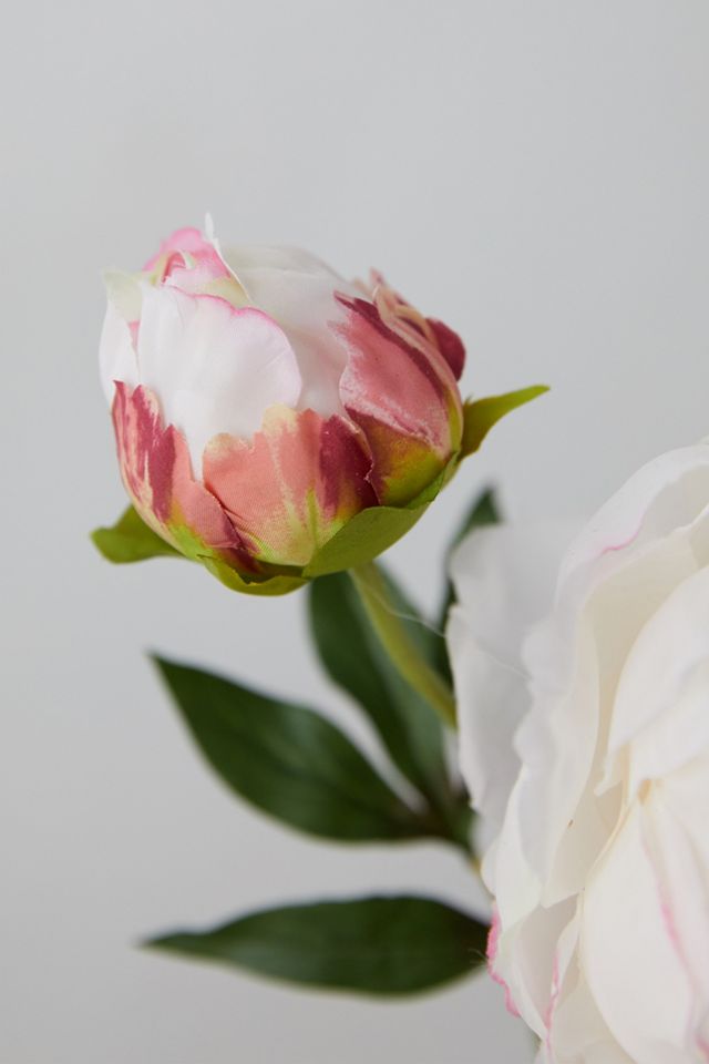 Faux Peony Stem, Pink + White #2