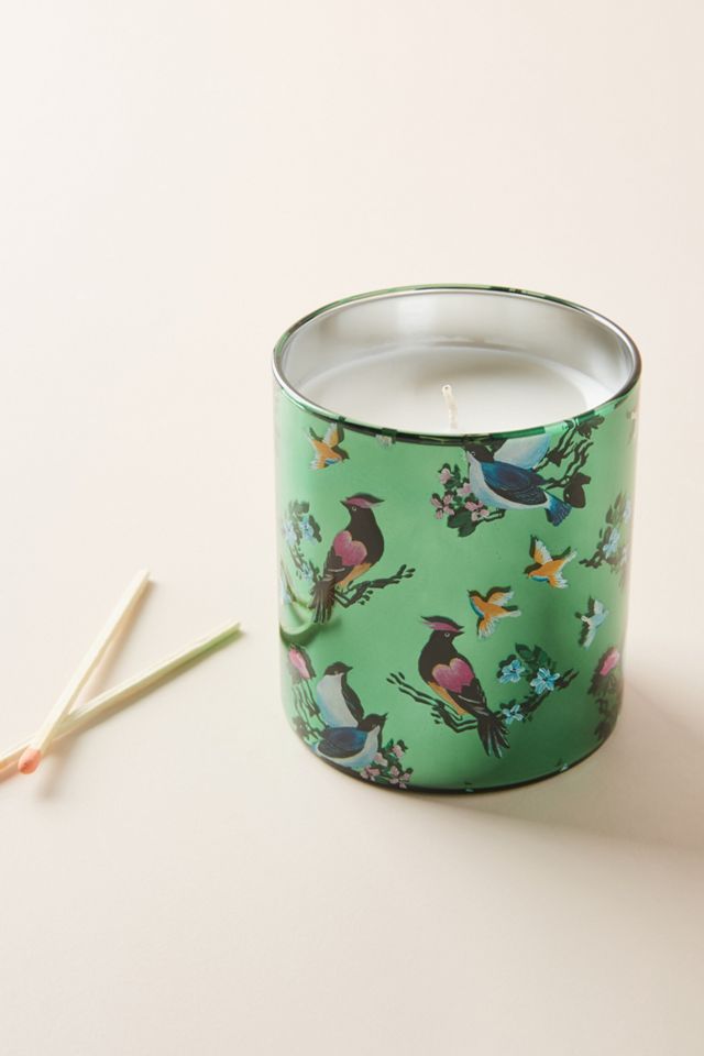 Colloquial Candle #1