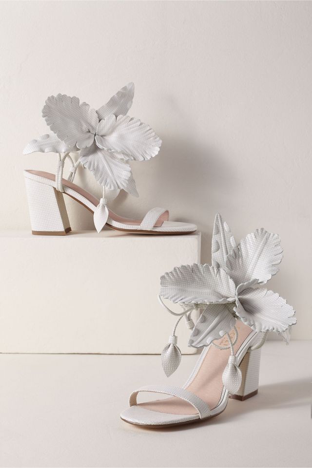 Hibiscus sandal cecelia new hot sale york