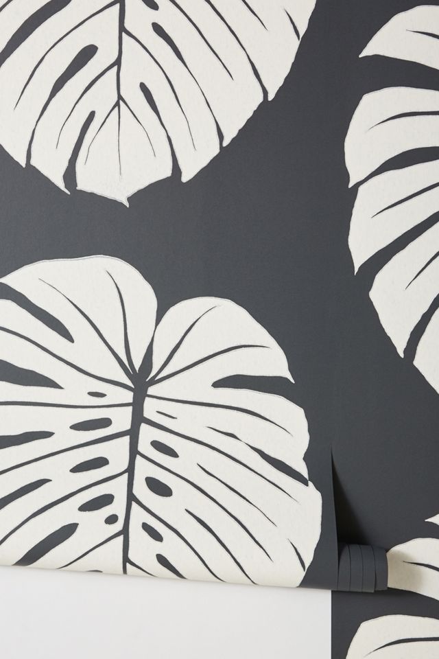 Monstera Leaf Wallpaper #1