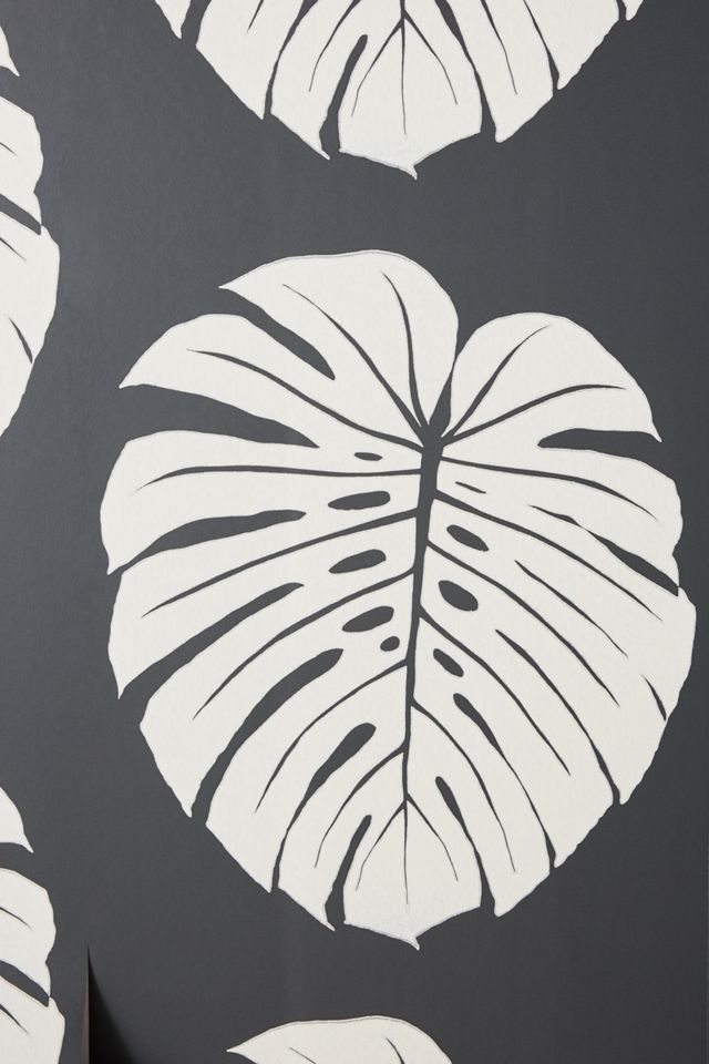 Monstera Leaf Wallpaper #2