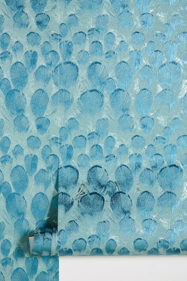 Feathers Wallpaper #1
