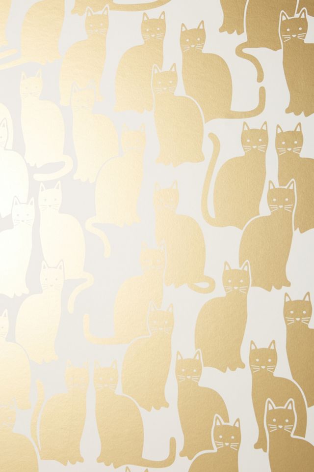 Shadow Cat Wallpaper #2