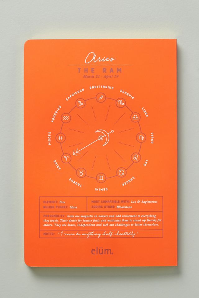 Zodiac Daily Journal #3