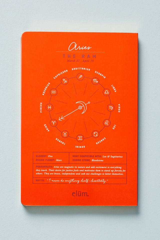 Zodiac Daily Journal #4