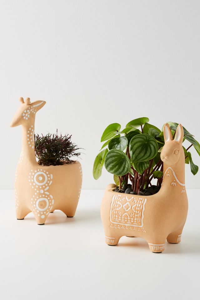 Penelope Pot #1