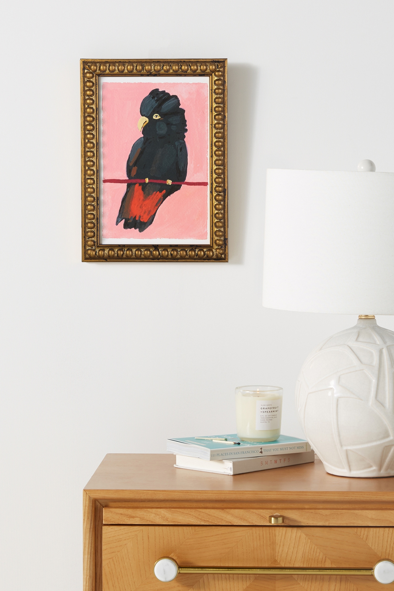 Red-Tailed Black Cockatoo Wall Art