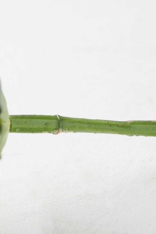 Faux Echevaria Stem #2