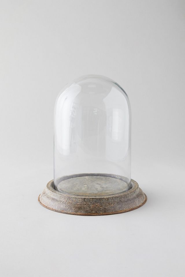 Distressed Iron + Glass Cloche #3