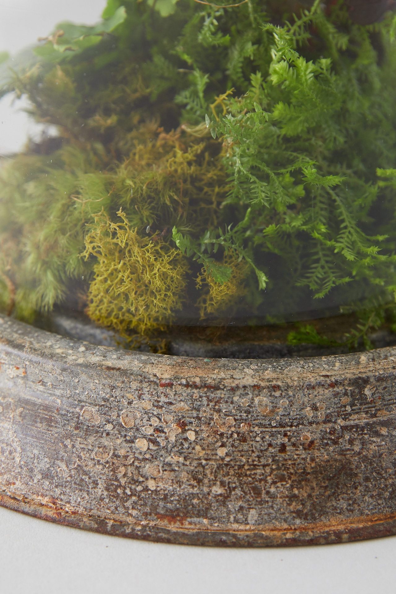 Distressed Iron + Glass Cloche