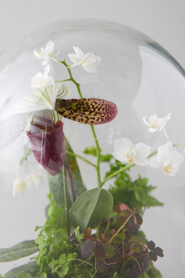 Distressed Iron + Glass Cloche #6